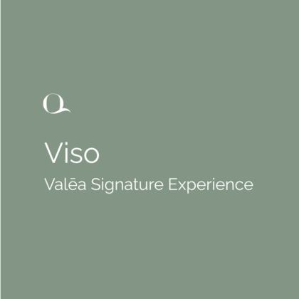 Viso